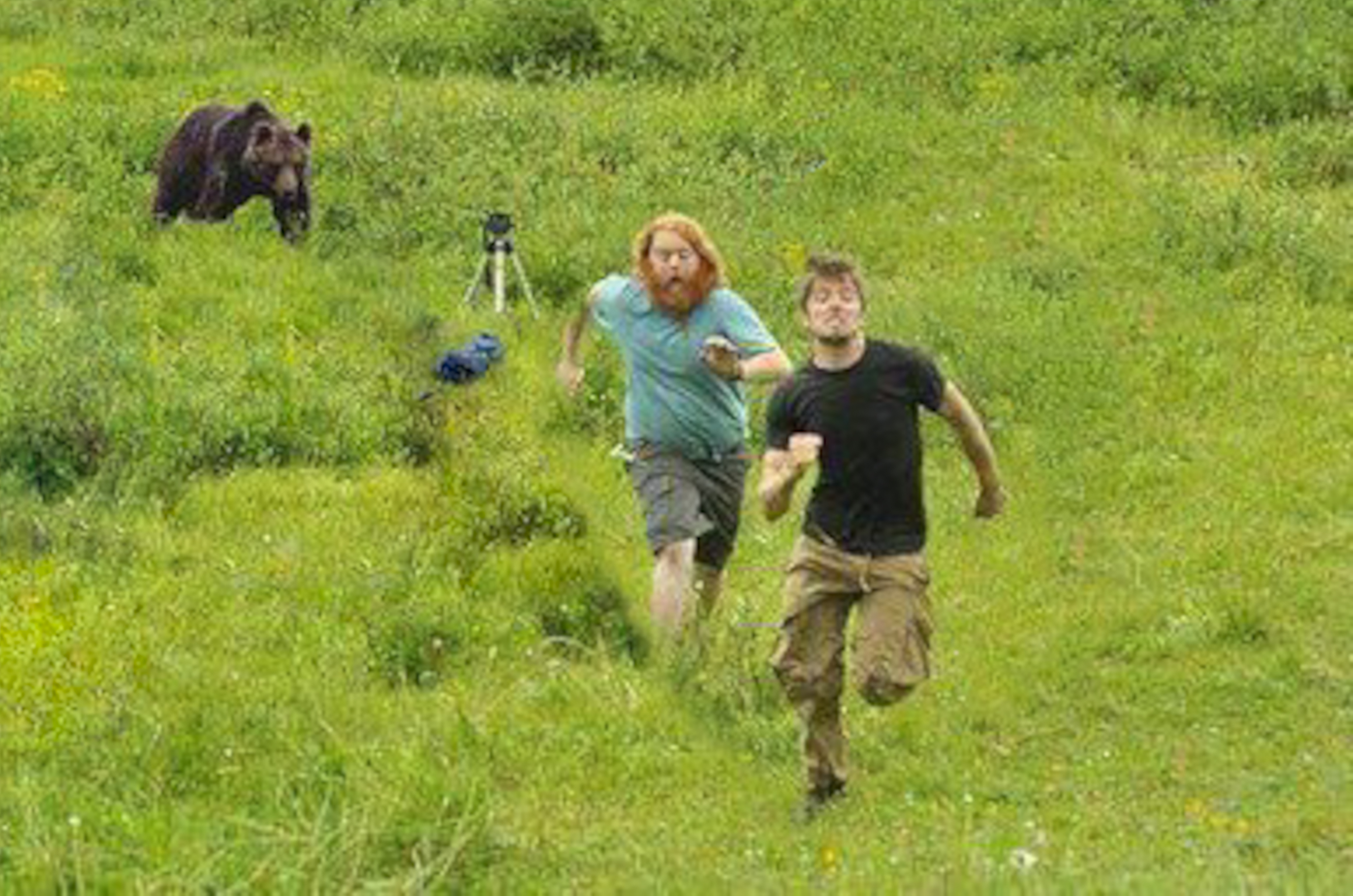 Догони мама. Человек убегает от медведя. Фотографы убегают от медведя. Мужик убегает от медведя. Медведь бежит.